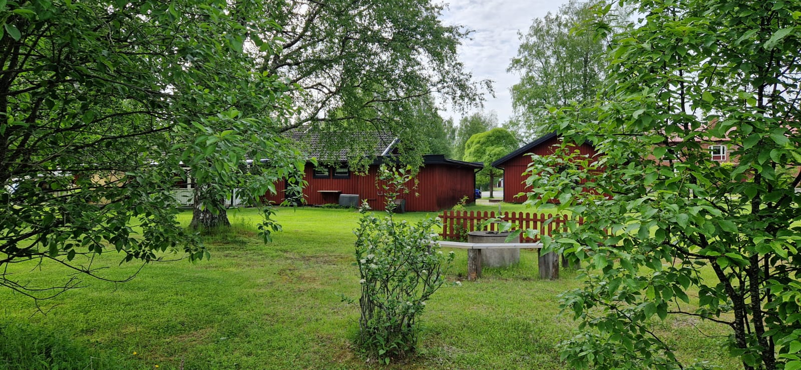 garden 04