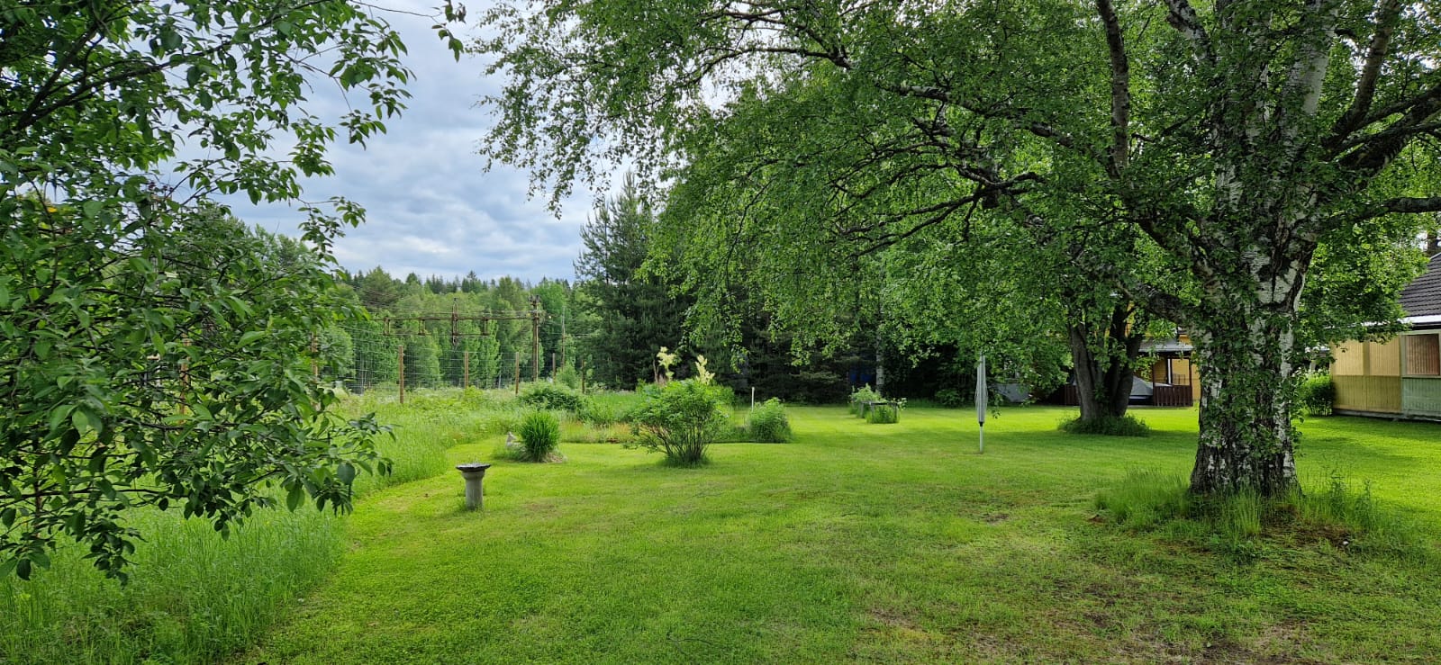 garden 05